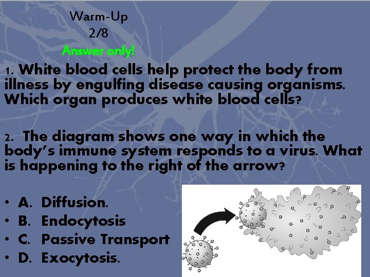 Warm-Up 2/8 Answer only! 1. White blood cells help protect the body from illness