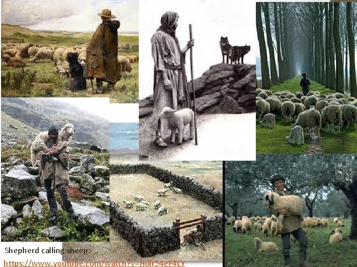 Shepherd calling sheep: https: //www. youtube. com/watch? v=Holr 54 e. F 4 LY 