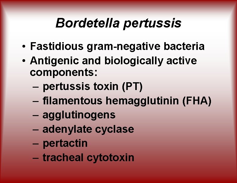 Bordetella pertussis • Fastidious gram-negative bacteria • Antigenic and biologically active components: – pertussis