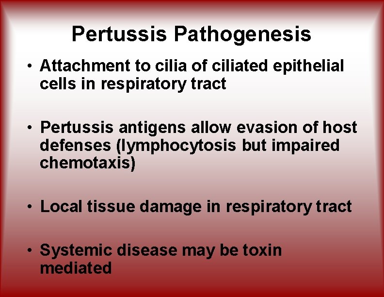 Pertussis Pathogenesis • Attachment to cilia of ciliated epithelial cells in respiratory tract •