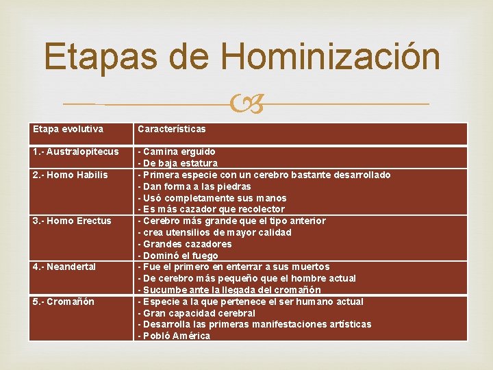 Etapas de Hominización Etapa evolutiva Características 1. - Australopitecus - Camina erguido - De