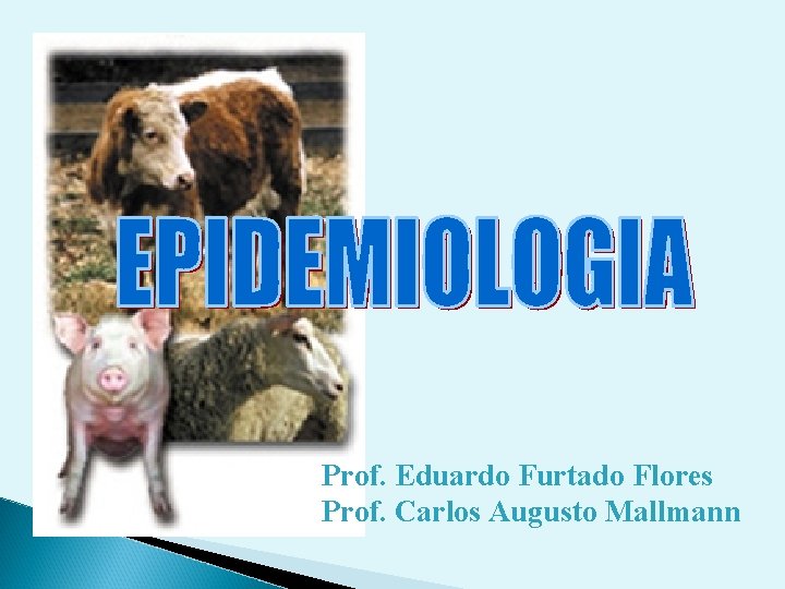 Prof. Eduardo Furtado Flores Prof. Carlos Augusto Mallmann 