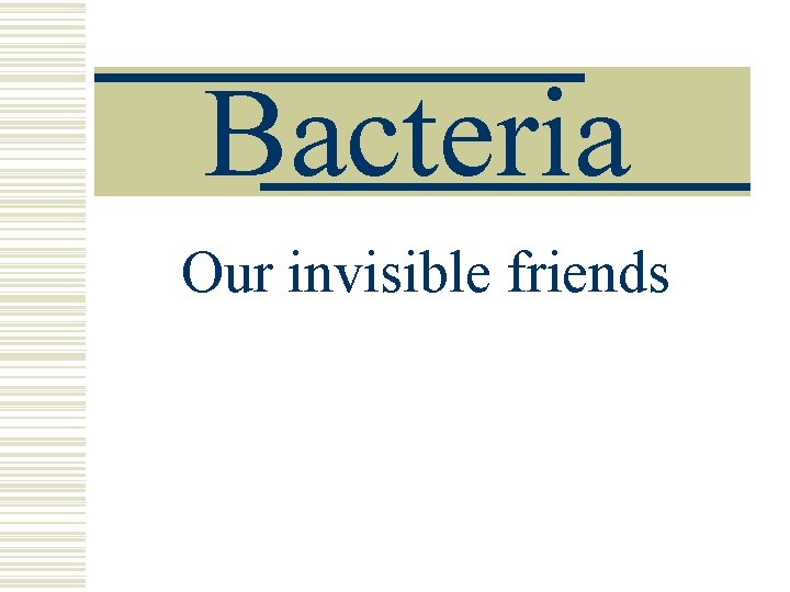 Bacteria Our invisible friends 