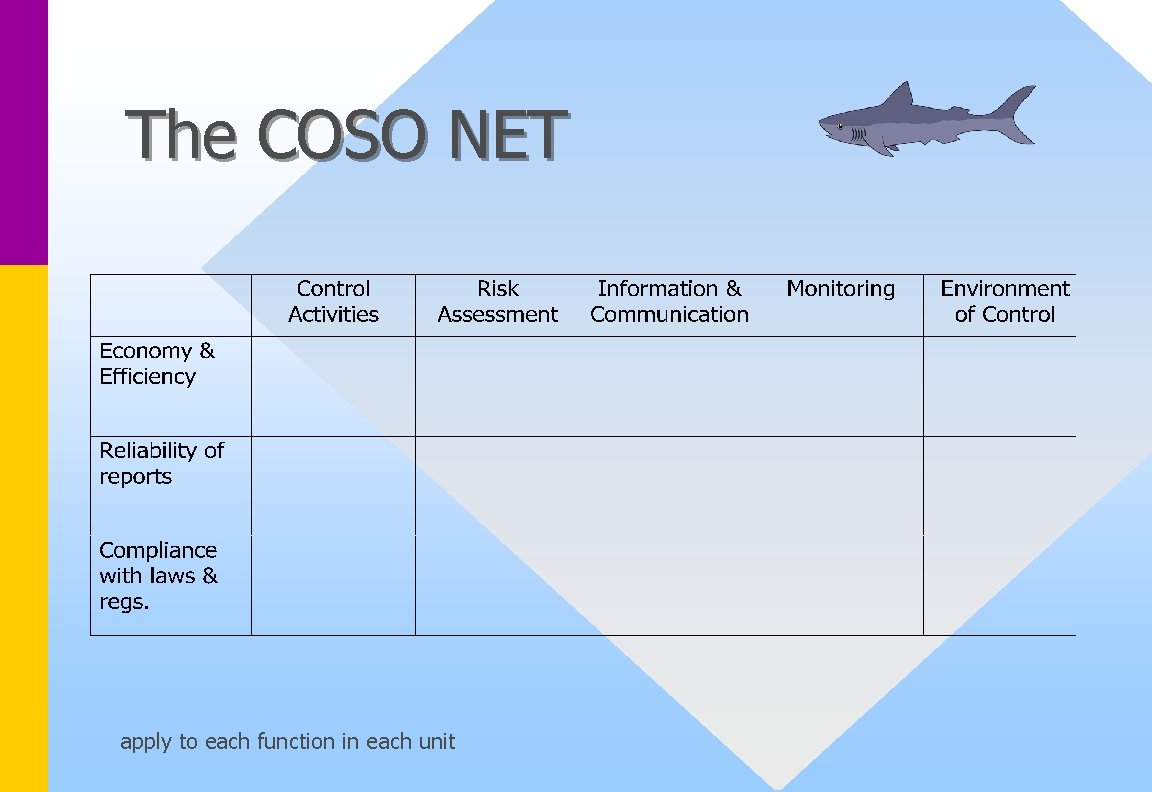 The COSO NET apply to each function in each unit 