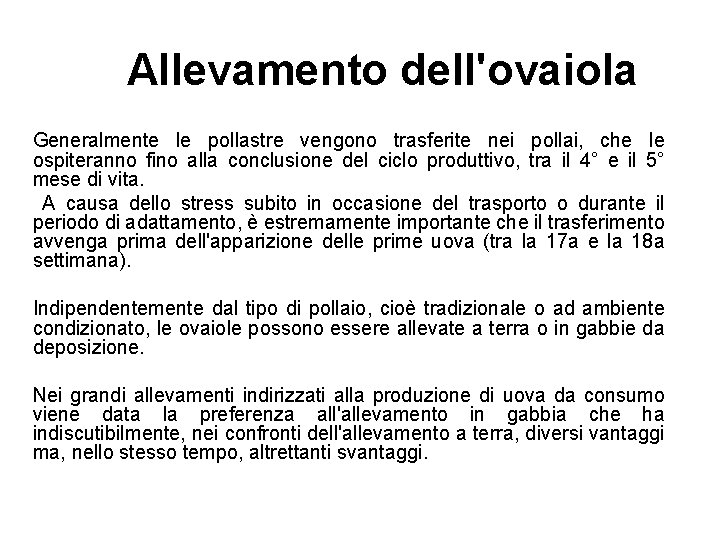 Allevamento dell'ovaiola Generalmente le pollastre vengono trasferite nei pollai, che le ospiteranno fino alla