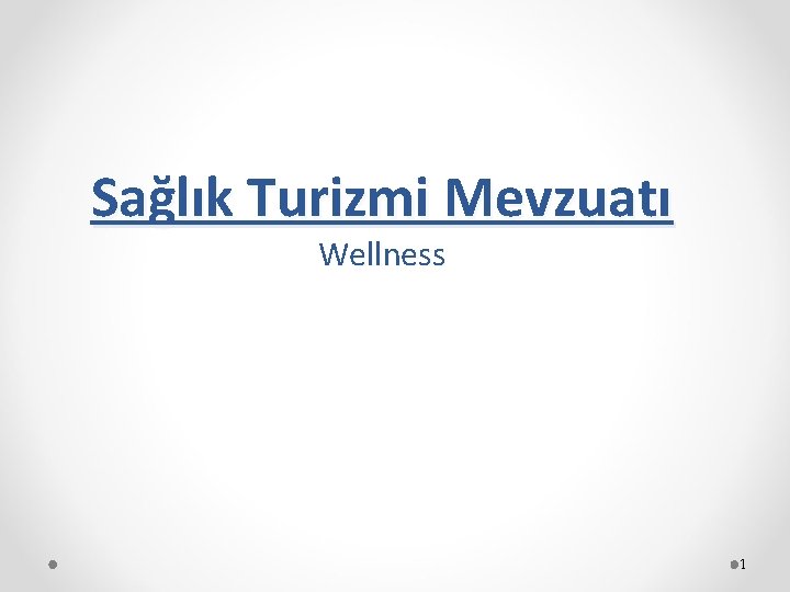 Sağlık Turizmi Mevzuatı Wellness 1 