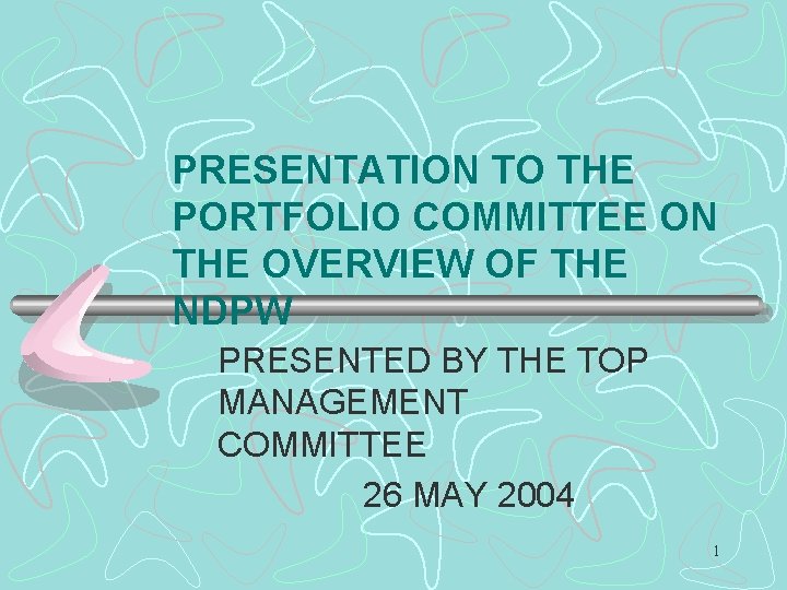 PRESENTATION TO THE PORTFOLIO COMMITTEE ON THE OVERVIEW