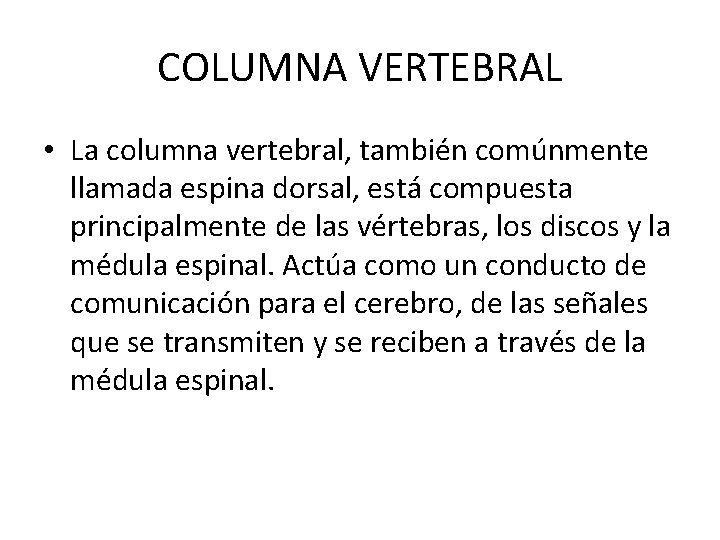 COLUMNA VERTEBRAL • La columna vertebral, también comúnmente llamada espina dorsal, está compuesta principalmente