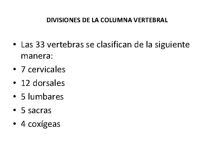 DIVISIONES DE LA COLUMNA VERTEBRAL • Las 33 vertebras se clasifican de la siguiente