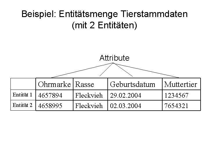 Beispiel: Entitätsmenge Tierstammdaten (mit 2 Entitäten) Attribute Ohrmarke Rasse Entität 1 4657894 Entität 2