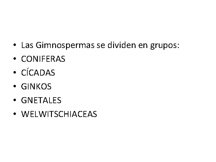  • • • Las Gimnospermas se dividen en grupos: CONIFERAS CÍCADAS GINKOS GNETALES