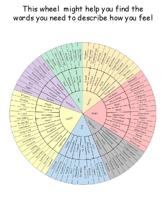 This wheel might help you find the words you need to describe how you