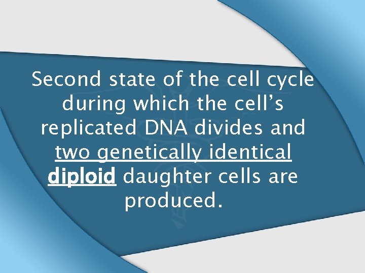 Second state of the cell cycle during which the cell’s replicated DNA divides and