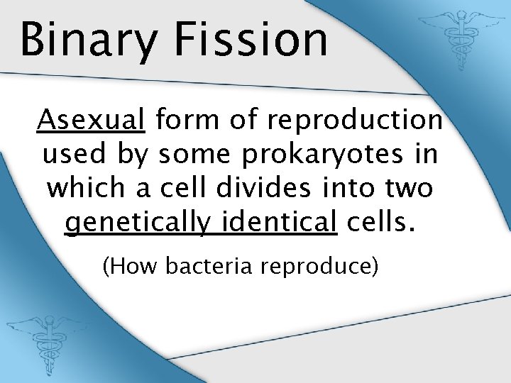 Binary Fission Asexual form of reproduction used by some prokaryotes in which a cell
