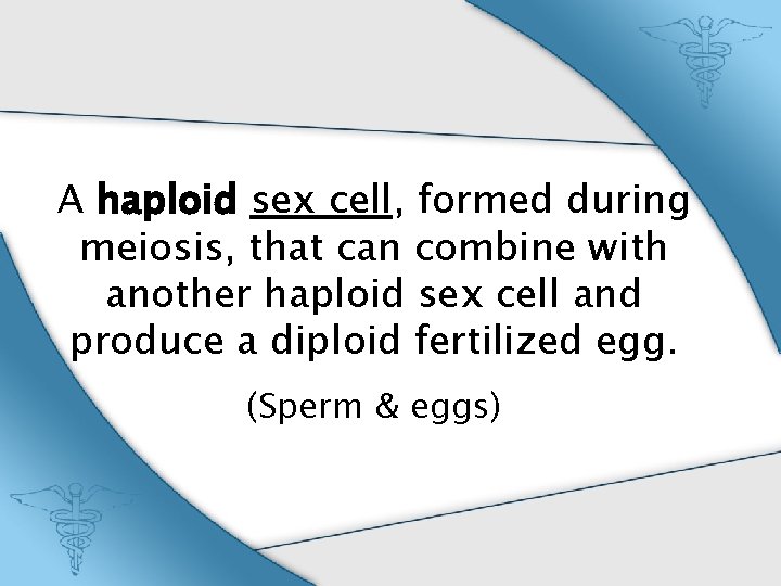 A haploid sex cell, formed during meiosis, that can combine with another haploid sex