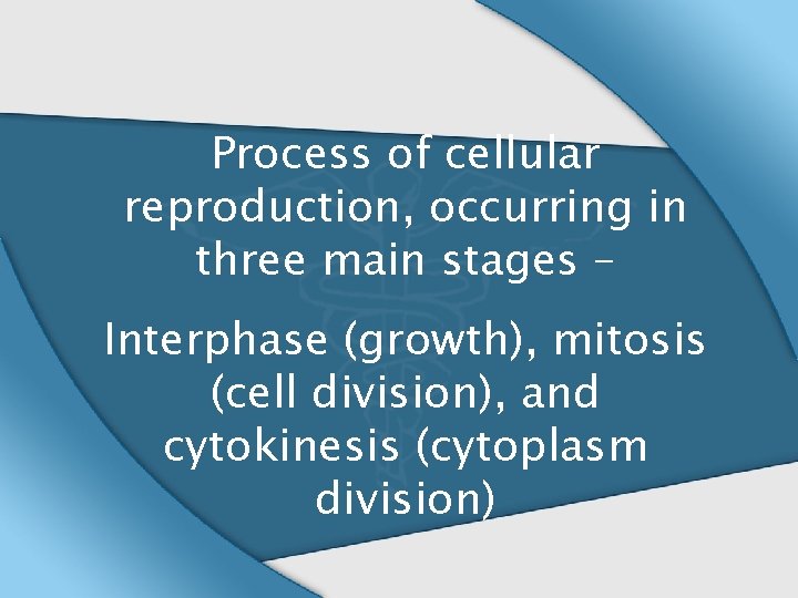 Process of cellular reproduction, occurring in three main stages – Interphase (growth), mitosis (cell