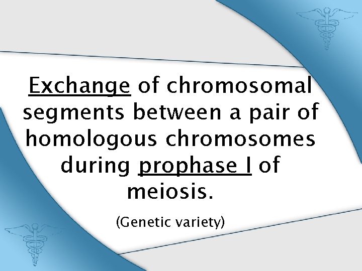 Exchange of chromosomal segments between a pair of homologous chromosomes during prophase I of