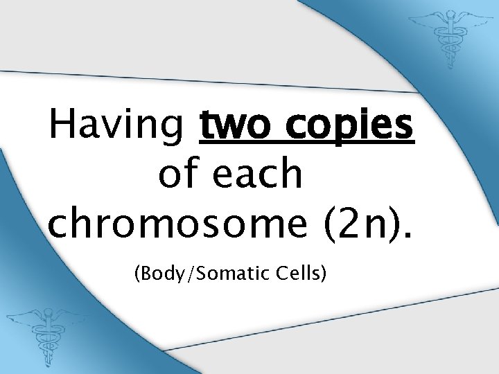Having two copies of each chromosome (2 n). (Body/Somatic Cells) 