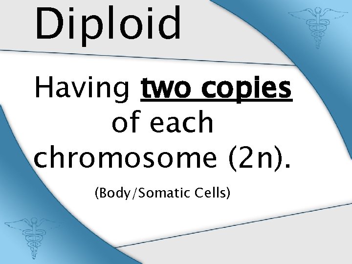 Diploid Having two copies of each chromosome (2 n). (Body/Somatic Cells) 