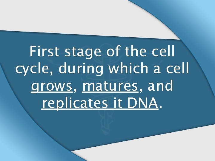 First stage of the cell cycle, during which a cell grows, matures, and replicates