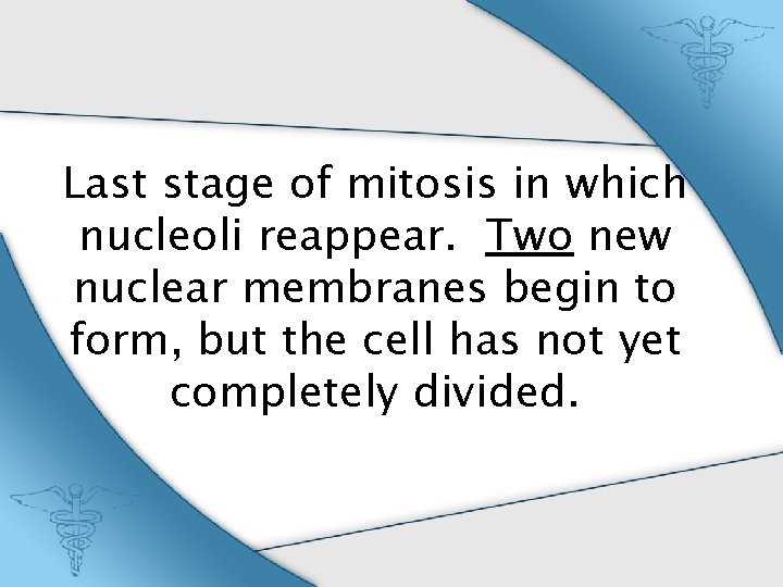 Last stage of mitosis in which nucleoli reappear. Two new nuclear membranes begin to