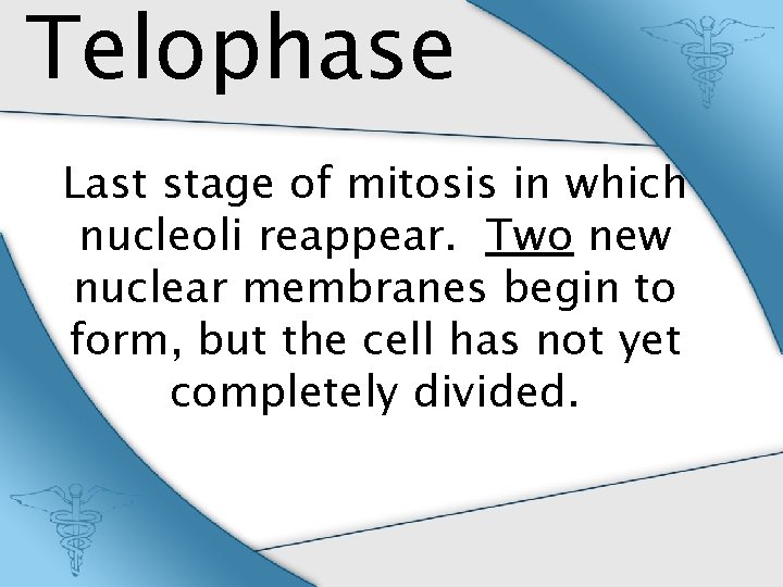 Telophase Last stage of mitosis in which nucleoli reappear. Two new nuclear membranes begin