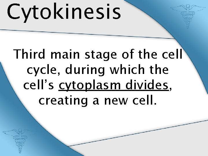 Cytokinesis Third main stage of the cell cycle, during which the cell’s cytoplasm divides,