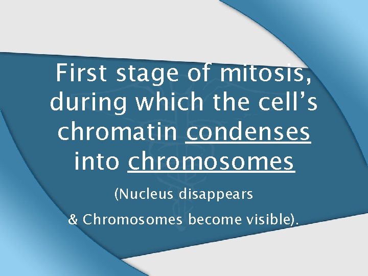 First stage of mitosis, during which the cell’s chromatin condenses into chromosomes (Nucleus disappears
