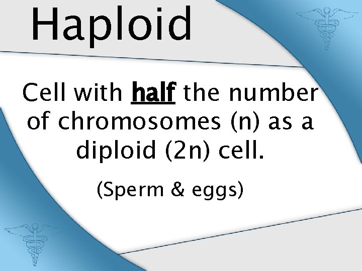 Haploid Cell with half the number of chromosomes (n) as a diploid (2 n)