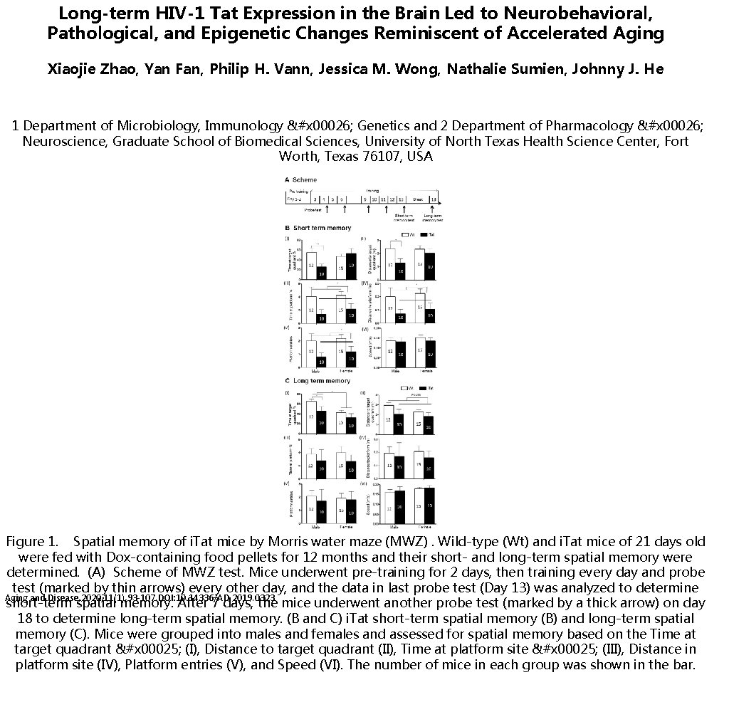 Long-term HIV-1 Tat Expression in the Brain Led to Neurobehavioral, Pathological, and Epigenetic Changes