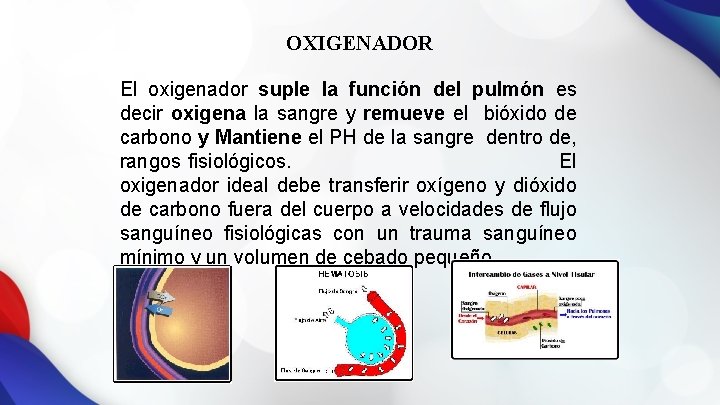 OXIGENADOR El oxigenador suple la función del pulmón es decir oxigena la sangre y