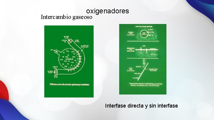 oxigenadores Intercambio gaseoso Interfase directa y sin interfase 