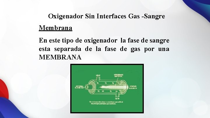 Oxigenador Sin Interfaces Gas -Sangre Membrana En este tipo de oxigenador la fase de