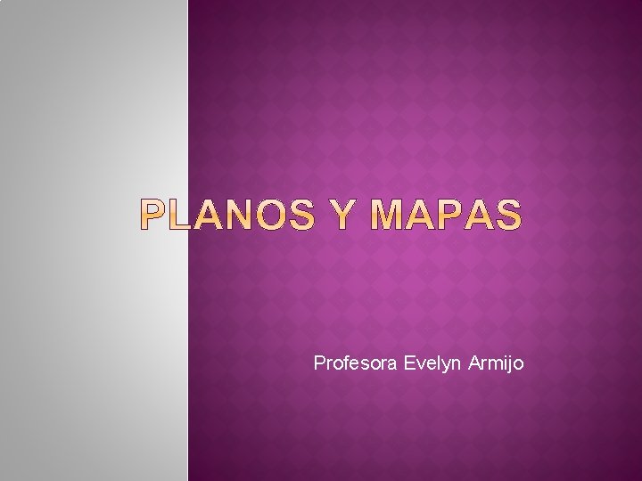 Profesora Evelyn Armijo 