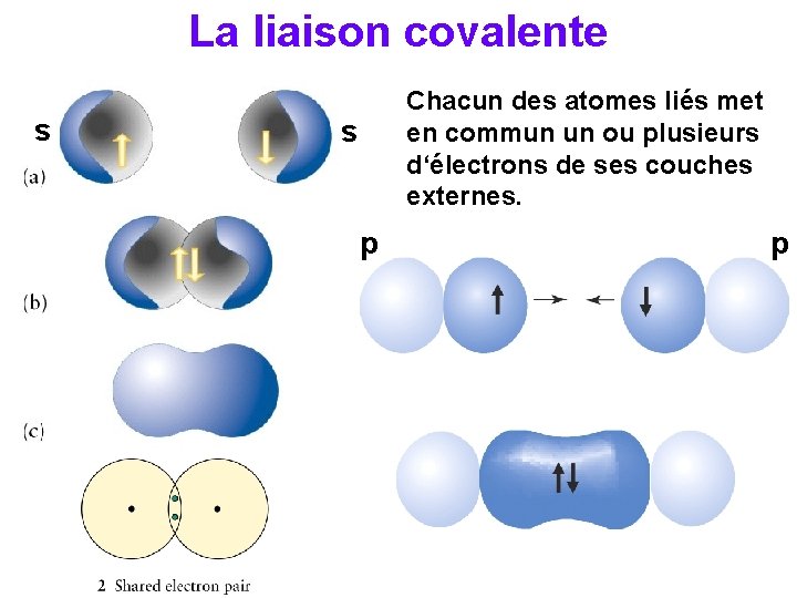 La liaison covalente s Chacun des atomes liés met en commun un ou plusieurs