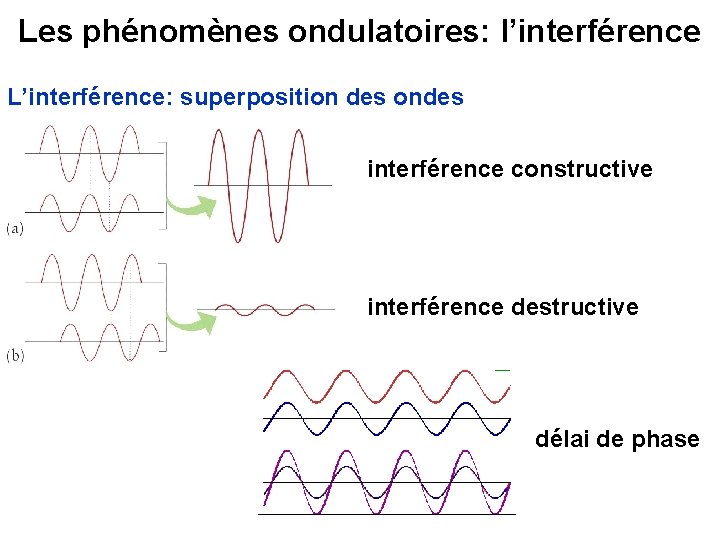 Les phénomènes ondulatoires: l’interférence L’interférence: superposition des ondes interférence constructive interférence destructive délai de