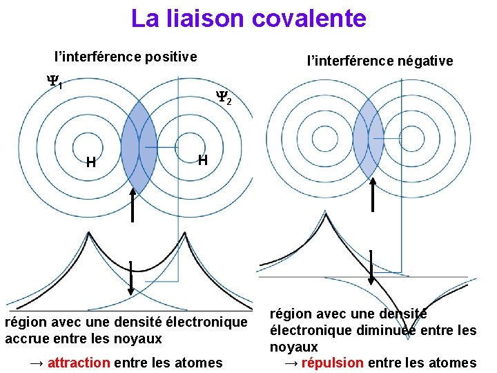 La liaison covalente l’interférence positive l’interférence négative 1 2 H H région avec une
