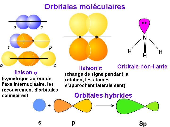 Orbitales moléculaires N H liaison (symétrique autour de l’axe internucléaire, les recouvrement d’orbitales colinéaires)