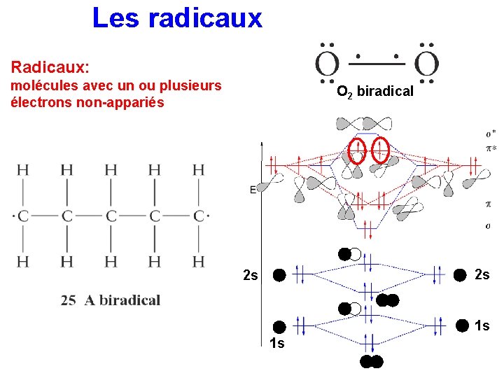 Les radicaux Radicaux: molécules avec un ou plusieurs électrons non-appariés O 2 biradical 2