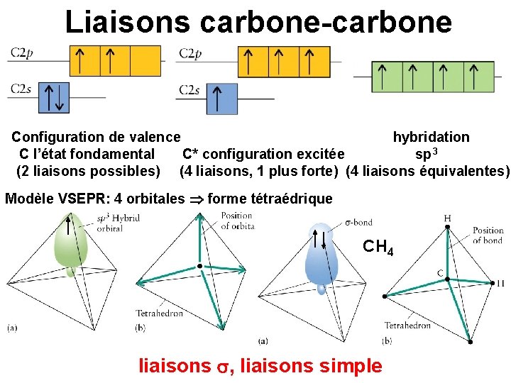 Liaisons carbone-carbone Configuration de valence hybridation C l’état fondamental C* configuration excitée sp 3