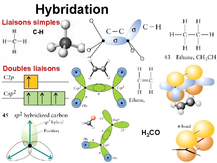 Hybridation Liaisons simples C-H Doubles liaisons H 2 CO 