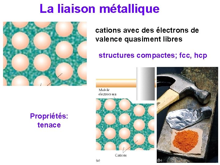 La liaison métallique cations avec des électrons de valence quasiment libres structures compactes; fcc,