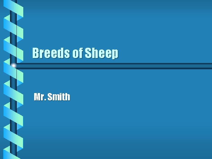 Breeds of Sheep Mr. Smith 