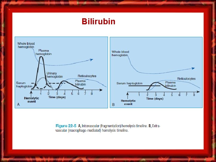 Bilirubin 