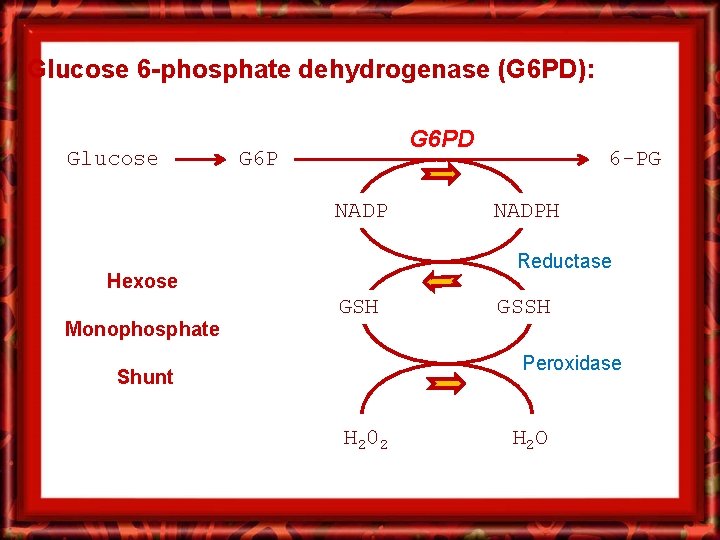 Glucose 6 -phosphate dehydrogenase (G 6 PD): Glucose G 6 PD G 6 P