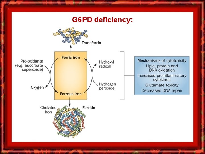 G 6 PD deficiency: 