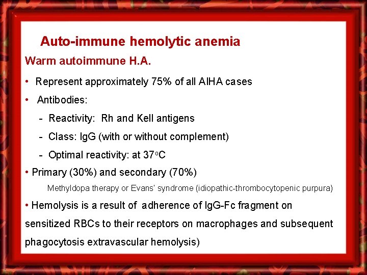 Auto-immune hemolytic anemia Warm autoimmune H. A. • Represent approximately 75% of all AIHA