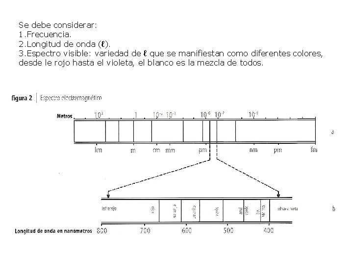 Se debe considerar: 1. Frecuencia. 2. Longitud de onda (ℓ). 3. Espectro visible: variedad Se debe considerar: 1. Frecuencia. 2. Longitud de onda (ℓ). 3. Espectro visible: variedad