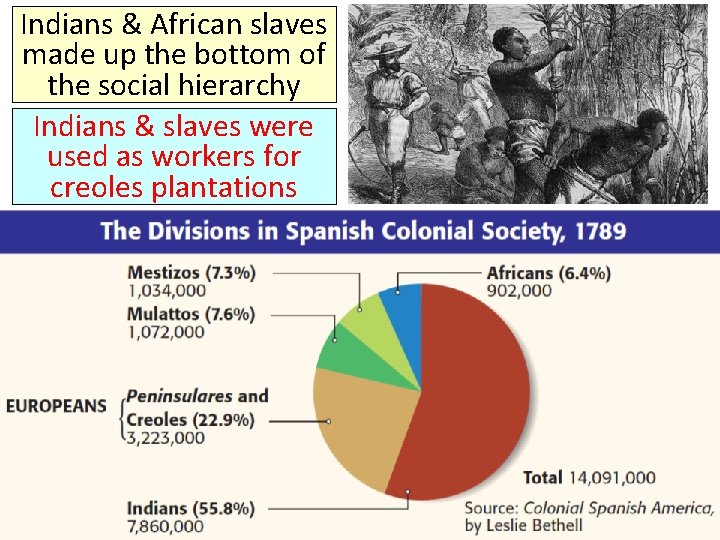 Indians & African slaves made up the bottom of the social hierarchy Indians &