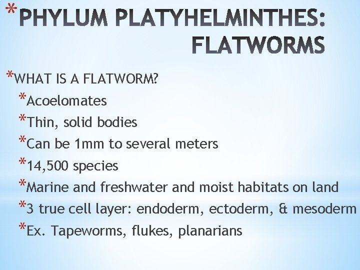 * *WHAT IS A FLATWORM? *Acoelomates *Thin, solid bodies *Can be 1 mm to